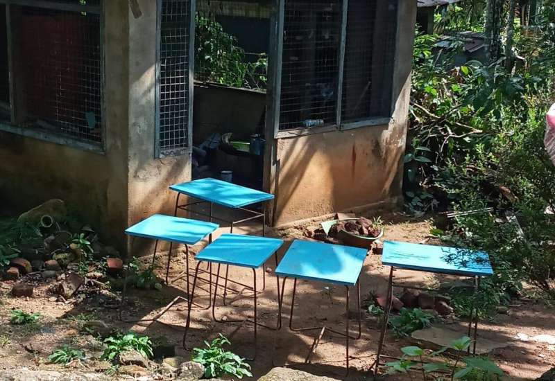 266993795_576284177022358_3849970062787285983_n