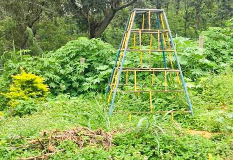 144970273_375493420434769_6603498213442857930_n