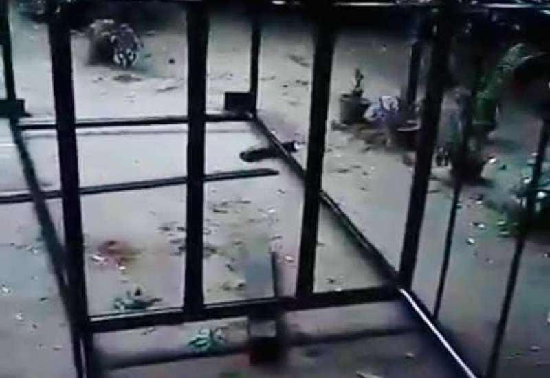 166715320_410689036915207_7769913789667536968_n