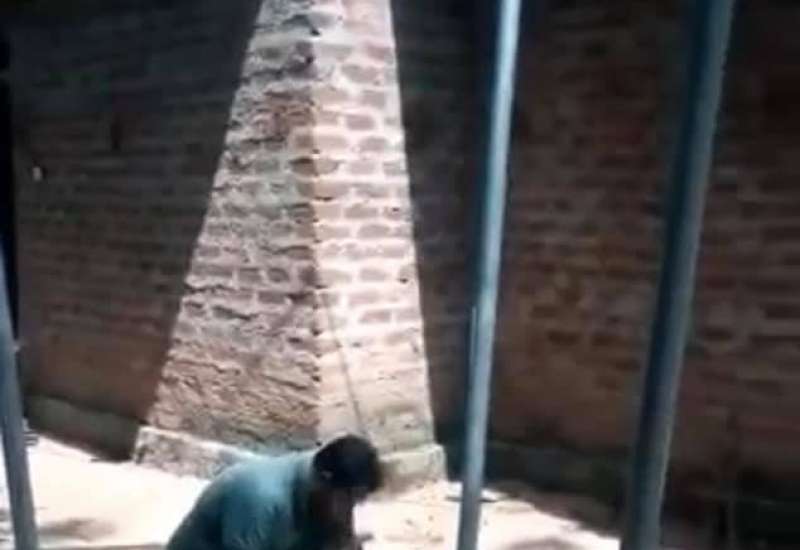 166851981_410689163581861_3870503166729117458_n