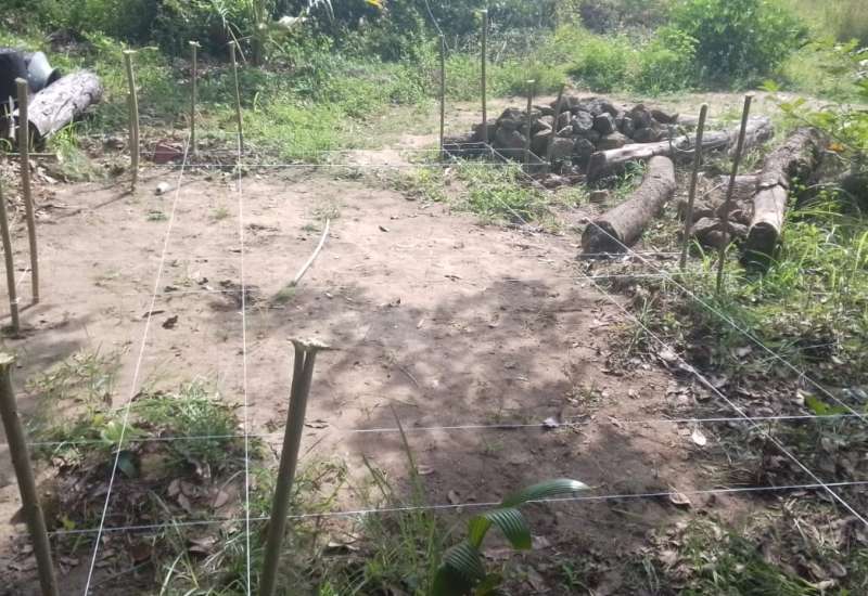 509207709_1100606475423090_6249137469330364172_n