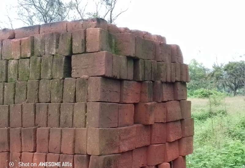 509271785_1100606565423081_6552863202963613209_n