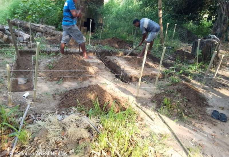 509432721_1100606585423079_3534311321612465152_n