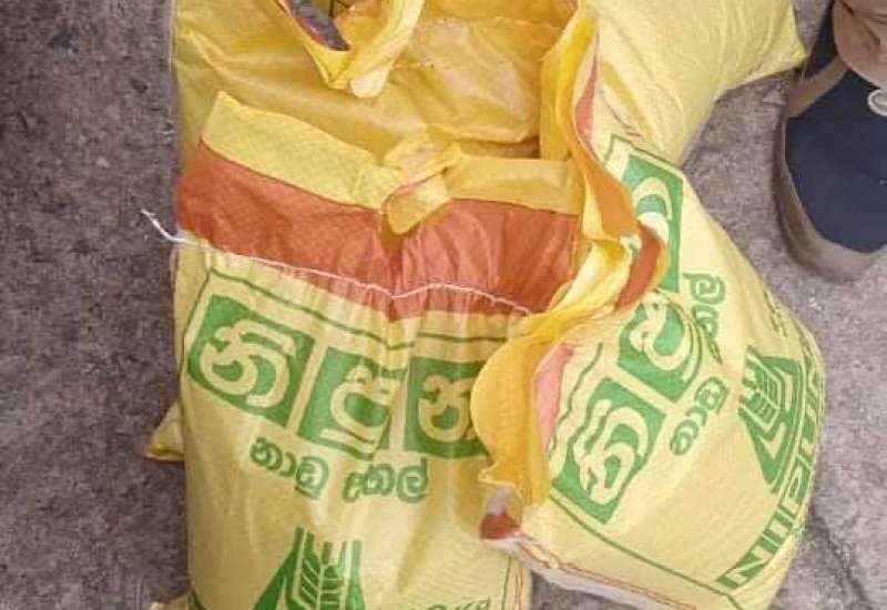 202244480_464588708191906_5144560058371547354_n